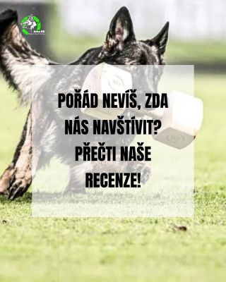 ❓ Pořád nevíš, jestli do toho jít? Nejlepší odpověď ti dají ti, kteří už to zažili – účastníci našich akcí. A jejich...