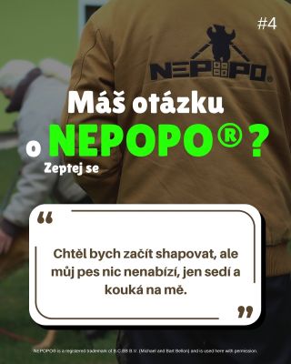 🔥 Máš otázku o NePoPo®? Zeptej se. Dnešní téma: „Chci shapovat, ale můj pes nic nenabízí.“ Tohle je jedna z nejčastějších...