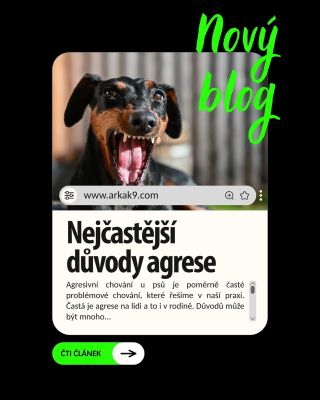 🔥 Většina lidí si myslí, že agresi u psa způsobuje špatná socializace, špatná výchova nebo „špatná povaha“. Ale realita je...