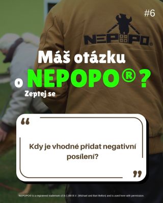 ❓ Kdy je správný moment přidat negativní posílení? Tohle je jedna z nejčastějších otázek – a většina lidí ji má v hlavě...