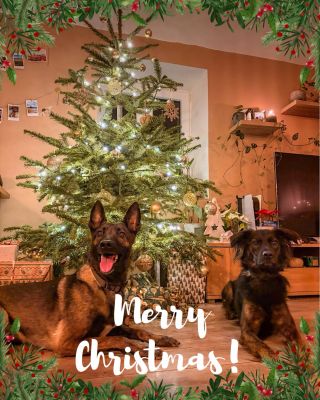 🎄❤️ Dnes je Štědrý den. A já bych vám chtěl popřát hlavně klid. Klid v hlavě. Klid doma. Klid mezi lidmi, na kterých vám...